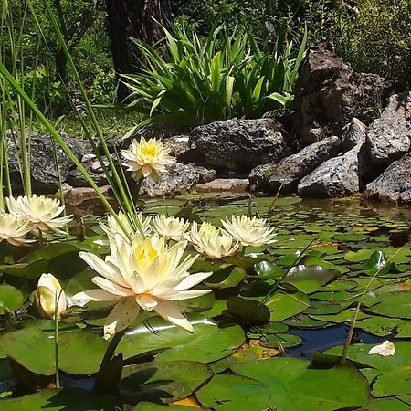 Bed and Breakfast Bastida De Beata Noailles  Екстер'єр фото