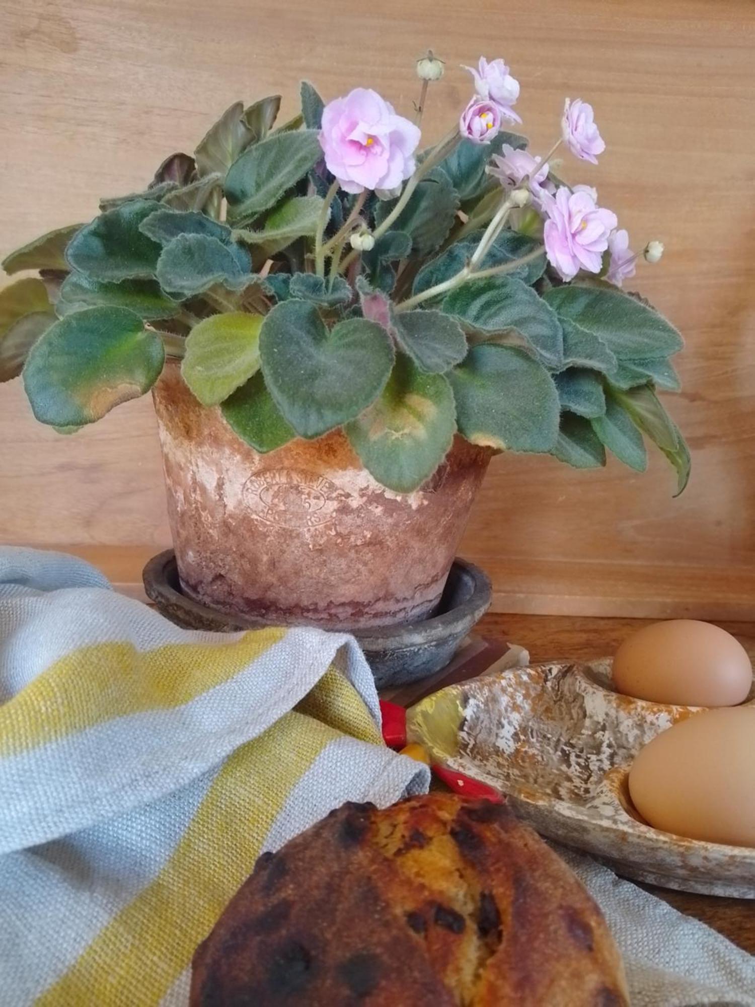 Bed and Breakfast Bastida De Beata Noailles  Екстер'єр фото