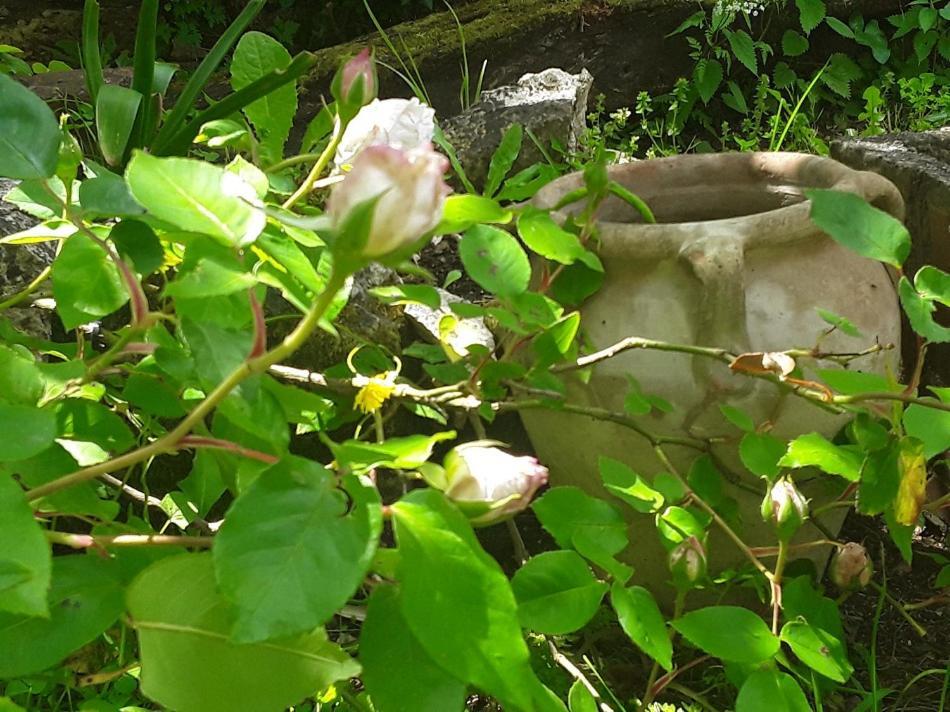 Bed and Breakfast Bastida De Beata Noailles  Екстер'єр фото